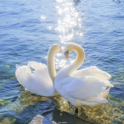 乐天堂点评指导