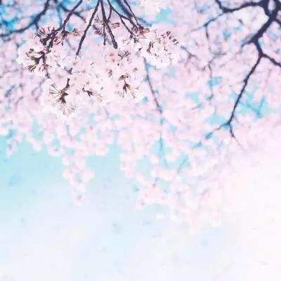 博雅.体育app手机版下载手机app下载