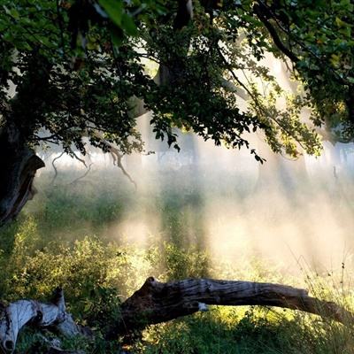 江南综合体育app下载安装截图