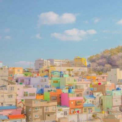 凤凰vip彩票网截图