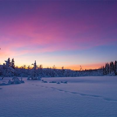 PG麻将胡了免费版手机app下载